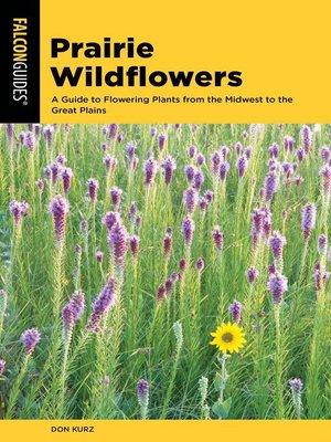cover image of Prairie Wildflowers